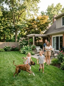 Boxer protecting and playing with its family.