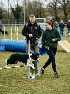Professional guidance for high-energy dog breeds.