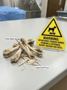 Cooked bones can splinter and injure dogs.