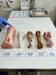 Different bone types and cooking methods for dogs.