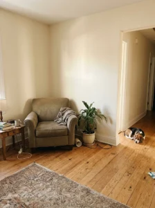 Unused living room corner beside a resting dog
Copy prompt