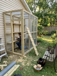 Wooden DIY catio with secure mesh and climbing shelves