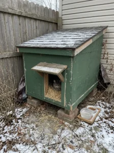 Finished insulated outdoor cat house with dry straw bedding for winter