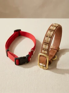 Plain nylon dog collar compared with an elegant handmade beaded collar.