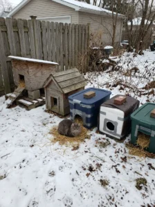 Different DIY insulated cat house designs for outdoor cats