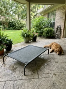 Clean outdoor dog bed drying on a covered patio
