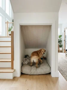 Dog standing comfortably inside a spacious under-stairs sleeping nook
