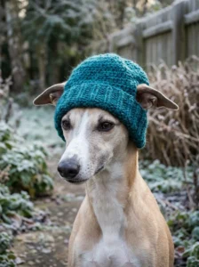 Teal crochet dog beanie with a stretchy ribbed brim for a gentle fit.