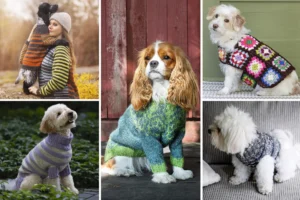 Small dogs modeling simple, ribbed and striped crochet dog sweaters.
