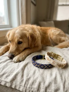 Navy and cream beaded dog collars shown against a golden retriever's coat.