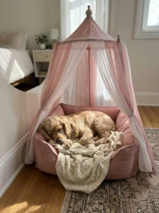Spaniel resting in a pink canopy bed with a familiar cozy blanket