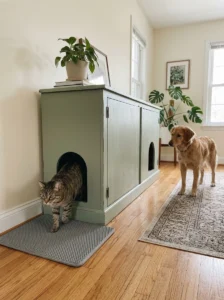 Cat using a litter box enclosure with two entrances for an easy escape route