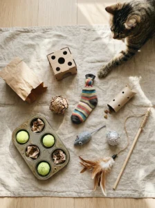 Nine easy homemade cat toys including cardboard, paper, fabric, and puzzle toys