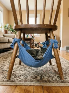 Cat relaxing in a simple no-sew T-shirt hammock